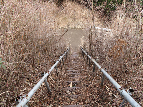 20160121hike (298)